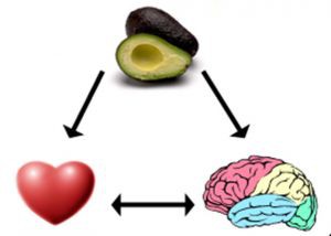 brain-health-nutrition